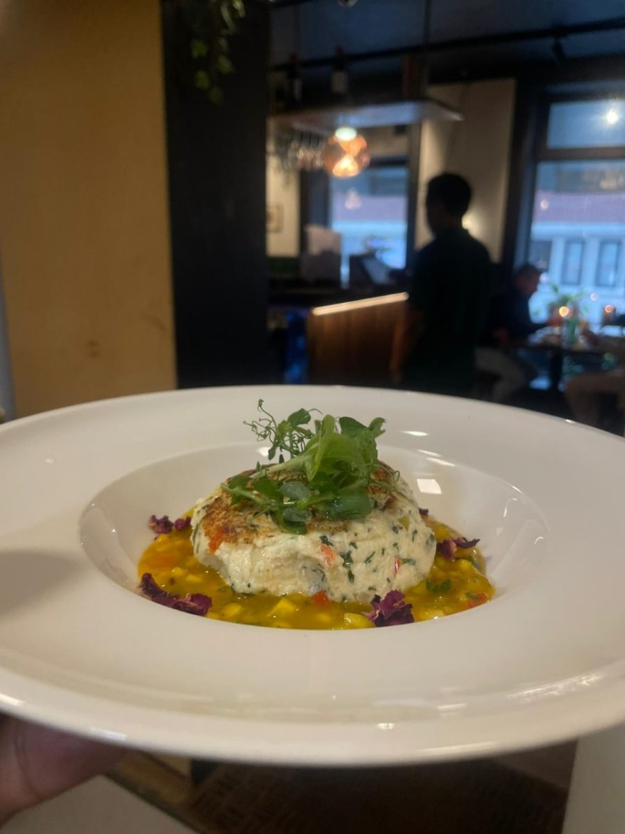 PHILADELPHIA CHEESE KEBAB